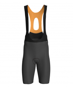 Pro1 2.0 color bib shorts